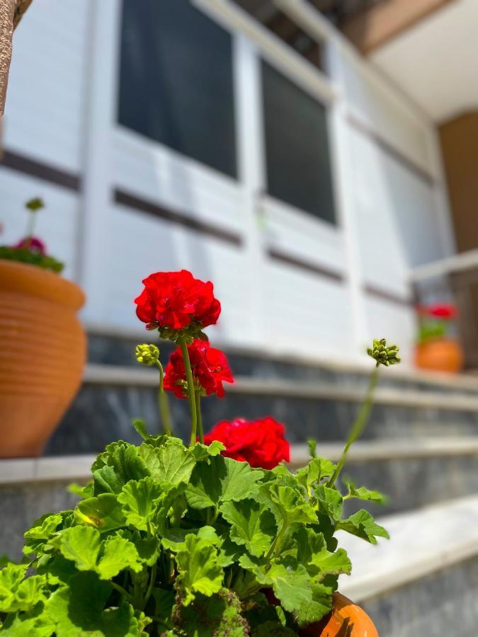 Thealos Inn Неа-Врасна Екстер'єр фото